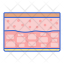 پیش‌نمایش فایل skin-4304446 از پک نفت CBD