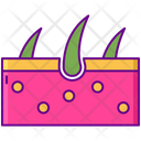 پیش‌نمایش فایل skin-4304351 از پک نفت CBD