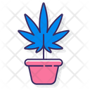 پیش‌نمایش فایل cannabis-farm-4304234 از پک نفت CBD
