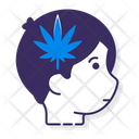 پیش‌نمایش فایل endocannabinoids-4304251 از پک نفت CBD