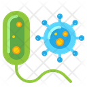 پیش‌نمایش فایل bacteria-and-virus-4304026 از پک مهندسی زیستی
