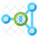 پیش‌نمایش فایل biological-network-4304034 از پک مهندسی زیستی