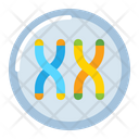 پیش‌نمایش فایل chromosome-4304045 از پک مهندسی زیستی