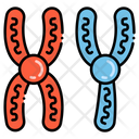پیش‌نمایش فایل chromosome-4303974 از پک مهندسی زیستی