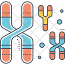 پیش‌نمایش فایل chromosome-4304114 از پک مهندسی زیستی