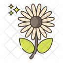 پیش‌نمایش فایل daisy-4361204 از پک گیاهان