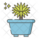 پیش‌نمایش فایل dracaena-4361211 از پک گیاهان