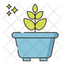پیش‌نمایش فایل ficus-4361217 از پک گیاهان