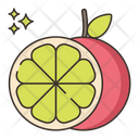 پیش‌نمایش فایل fruit-4361220 از پک گیاهان