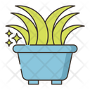 پیش‌نمایش فایل houseplant-4361230 از پک گیاهان