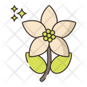 پیش‌نمایش فایل jasmine-4361233 از پک گیاهان