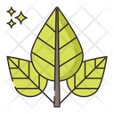 پیش‌نمایش فایل leaves-4361236 از پک گیاهان