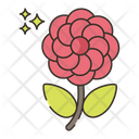 پیش‌نمایش فایل peony-4361244 از پک گیاهان
