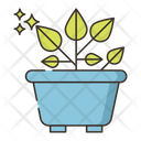پیش‌نمایش فایل rubber-plant-4361258 از پک گیاهان