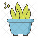 پیش‌نمایش فایل snake-plant-4361260 از پک گیاهان