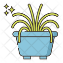پیش‌نمایش فایل spider-plant-4361264 از پک گیاهان