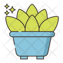 پیش‌نمایش فایل succulent-4361269 از پک گیاهان