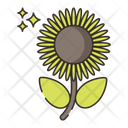 پیش‌نمایش فایل sunflower-4361271 از پک گیاهان