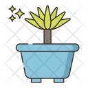 پیش‌نمایش فایل yucca-4361282 از پک گیاهان