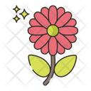 پیش‌نمایش فایل zinnia-4361283 از پک گیاهان