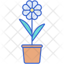 پیش‌نمایش فایل flowers-4361779 از پک آسایش