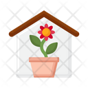پیش‌نمایش فایل indoor-plants-4361708 از پک آسایش