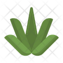 پیش‌نمایش فایل aloe-vera-4377634 از پک مراقبت از پوست