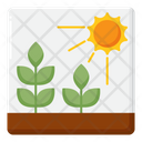 پیش‌نمایش فایل crops-4424163 از پک ماقبل تاریخ