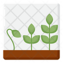 پیش‌نمایش فایل farming-growth-4424167 از پک ماقبل تاریخ