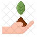 پیش‌نمایش فایل sprout-4424213 از پک ماقبل تاریخ