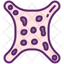 پیش‌نمایش فایل animal-skin-4528830 از پک ماقبل تاریخ