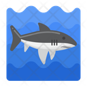 پیش‌نمایش فایل shark-4566056 از پک تور غواصی