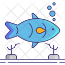 پیش‌نمایش فایل fish-4565991 از پک تور غواصی