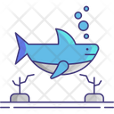 پیش‌نمایش فایل shark-4566005 از پک تور غواصی