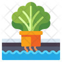 پیش‌نمایش فایل hydroponic-technology-4566283 از پک آینده