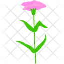پیش‌نمایش فایل carnation-11092042 از پک روز مادر