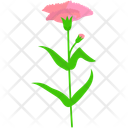 پیش‌نمایش فایل carnation-11092043 از پک روز مادر