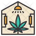 پیش‌نمایش فایل cannabis-farm-1515279 از پک مواد مخدر کانابیس