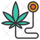 پیش‌نمایش فایل cannabis-in-medical-1515284 از پک مواد مخدر کانابیس