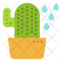 پیش‌نمایش فایل cactus-2737029 از پک مهارت‌های مقابله‌ای