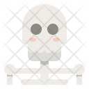 پیش‌نمایش فایل skeleton-31 از پک آواتار