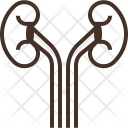 پیش‌نمایش فایل kidney-41 از پک سلامت