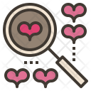 پیش‌نمایش فایل searching-for-love از پک ولنتاین
