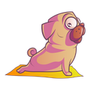 پیش‌نمایش فایل cute-pug-is-sitting-on-the-sheet-1861496 از پک پاگ