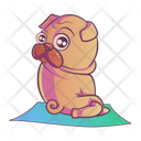 پیش‌نمایش فایل pug-doing-exercise-1861502 از پک پاگ