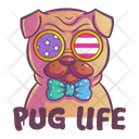 پیش‌نمایش فایل pug-life-1861491 از پک پاگ