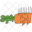 پیش‌نمایش فایل sleepy-carrot-2109664 از پک هویج