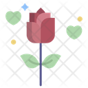 پیش‌نمایش فایل flower-3091852 از پک عروسی