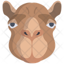 پیش‌نمایش فایل camel-3103173 از پک چهره حیوان