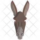 پیش‌نمایش فایل donkey-3103207 از پک چهره حیوان
